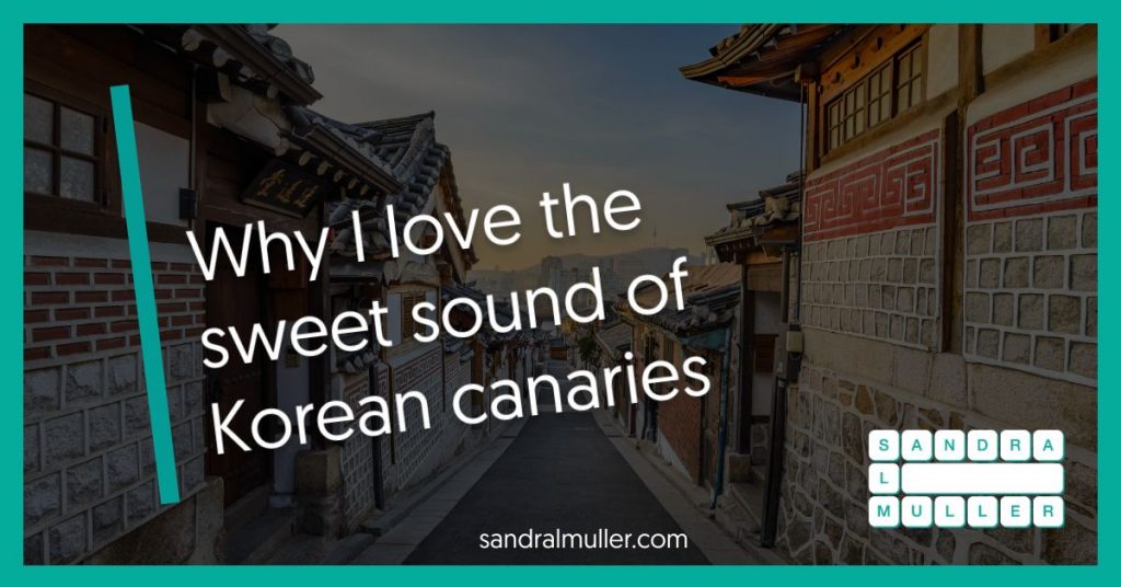 Why I love the sweet sound of Korean canaries