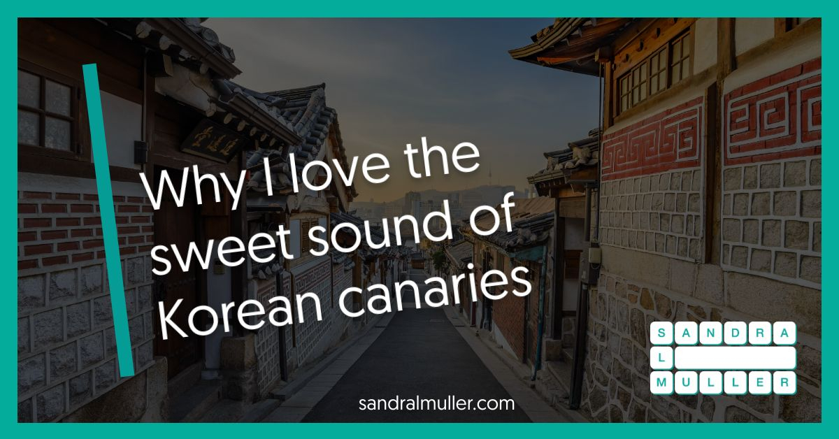 Why I love the sweet sound of Korean canaries
