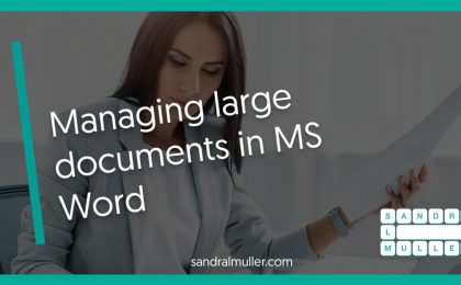 Managing Large Docs in MS Word